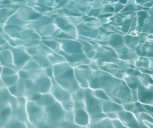 The Salt Logic Chlorinator