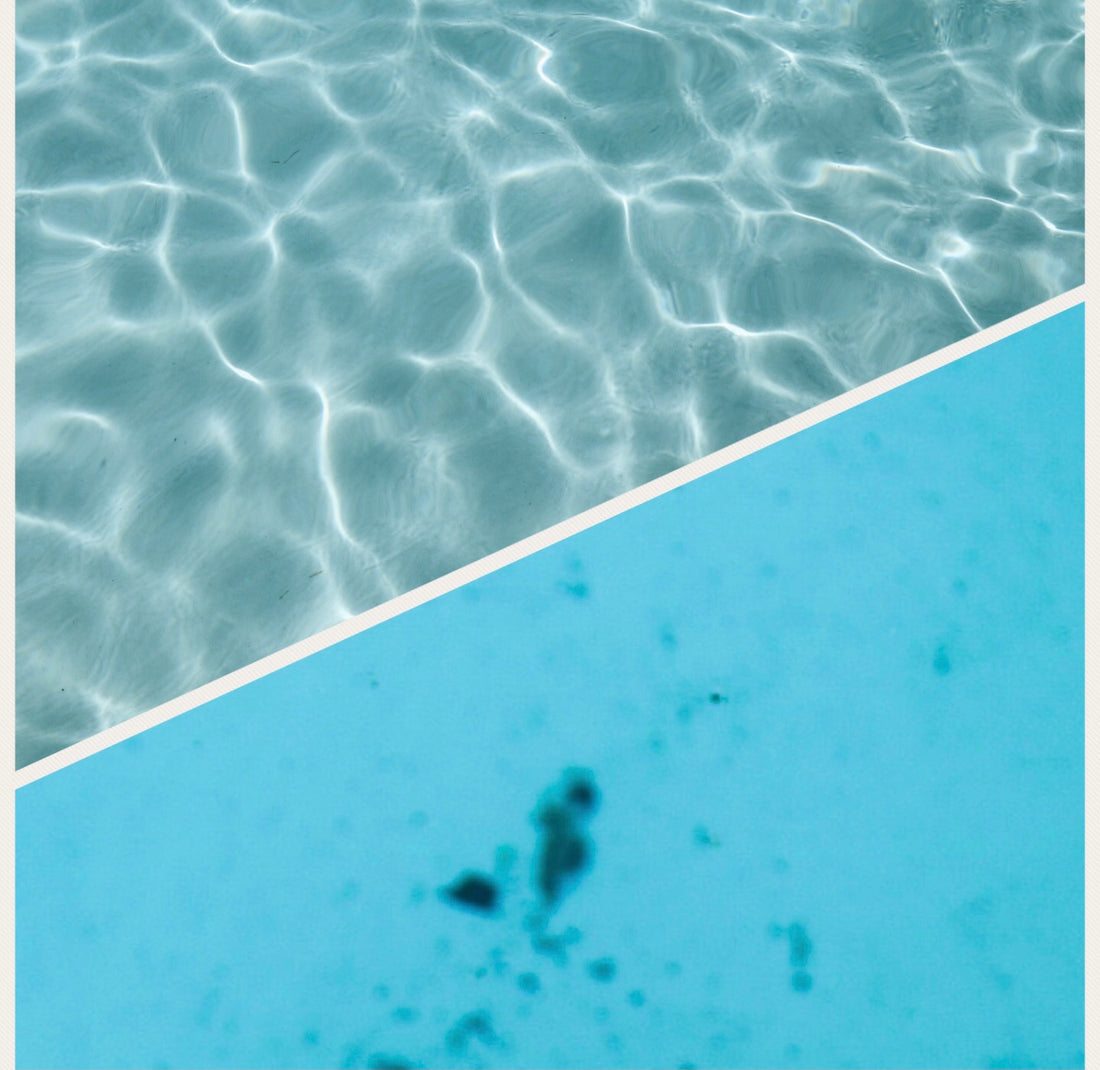 One photo of clean pool floor and another with dirty pool floor, if you use the pool brush your pool floor with look like the clean one