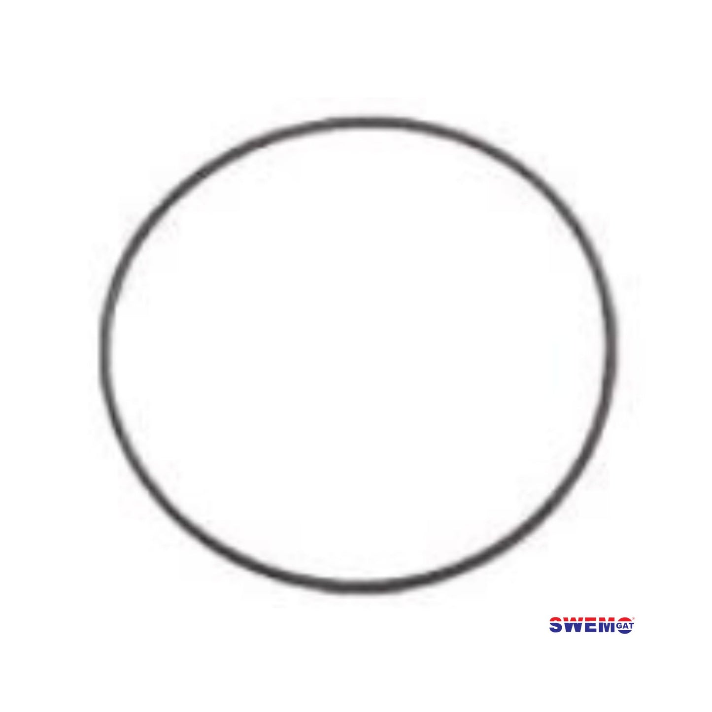 Quality MPV Lid O Ring