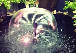 Mushroom/Umbrella Fountain head Plastic - Swemgat