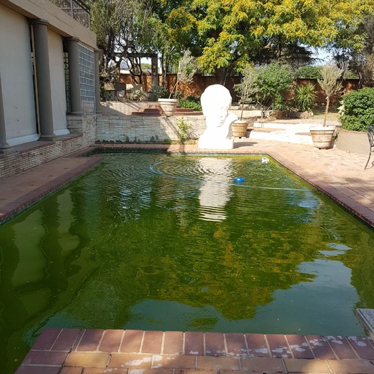 Add: Booster treatment to get my green pool clear again (3 treatments) - Swemgat
