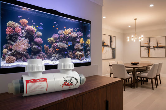 Salt water aquarium UV light