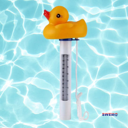 Swimming Pool Thermometer