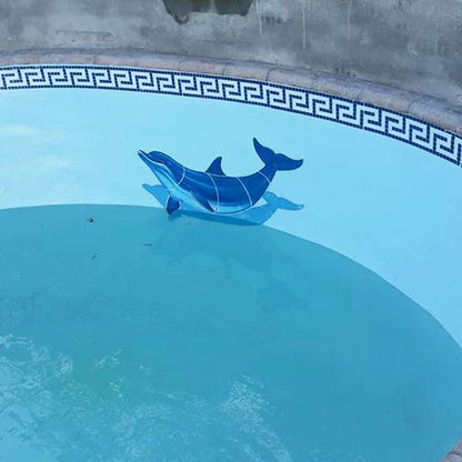 Fibreglass Pool Motif - Shadow Dolphin 1200mm x 590mm(Printed on tissue paper)